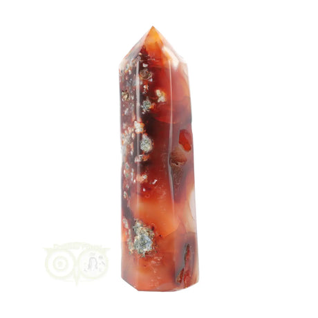 carneool punt 297 gram uniek