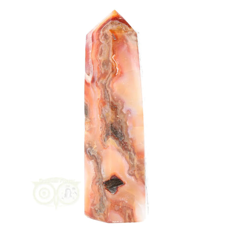 Carnelian point no. 6 - 359 grams | Gemstone point