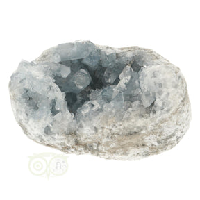 Celestien cluster nr. 41 van 992 gram uit Madagaskar