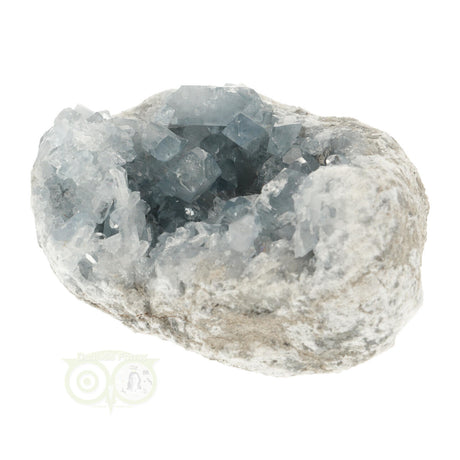 Celestien Cluster Nr 41 -992 gram | Celestien - Ruwe mineralen kopen