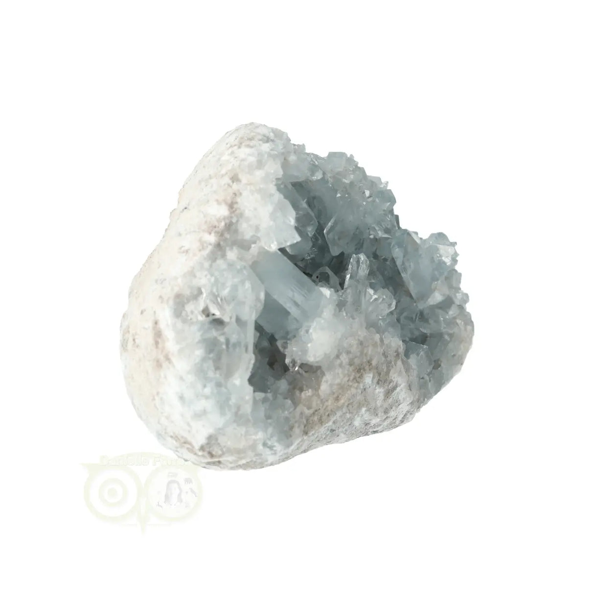 Celestien cluster Nr 79