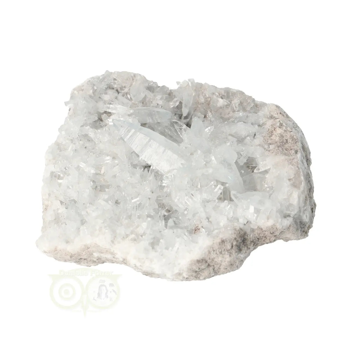 Celestien cluster Nr 82