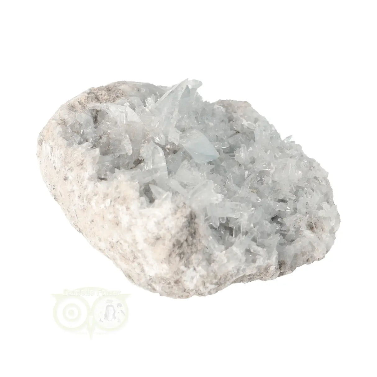 Celestien cluster Nr 82