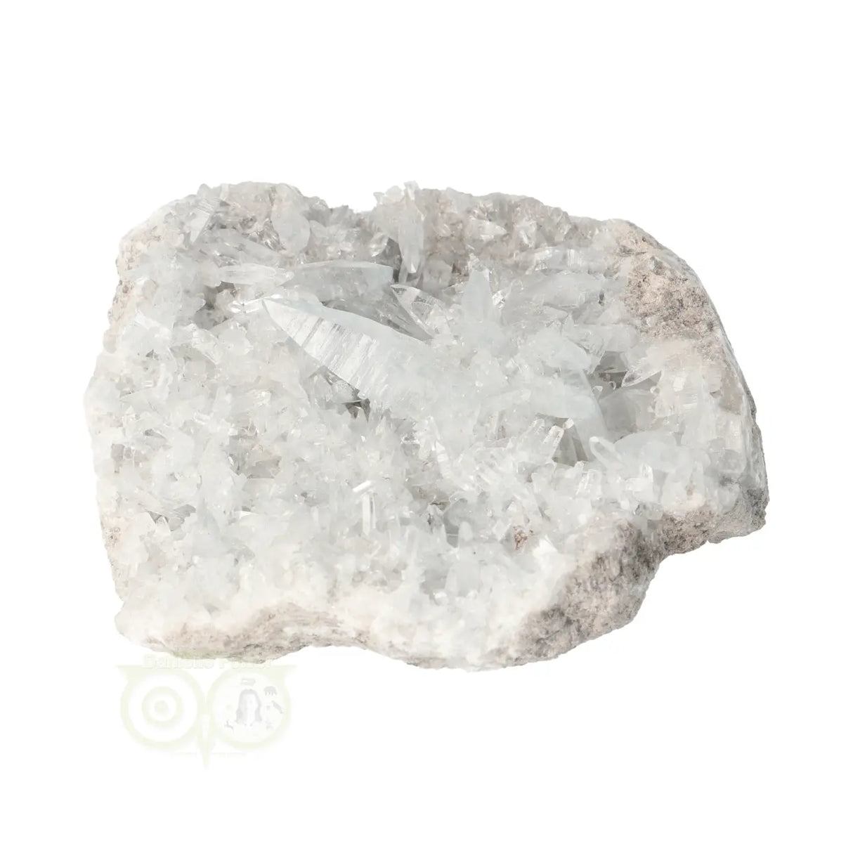 Celestien cluster Nr 82