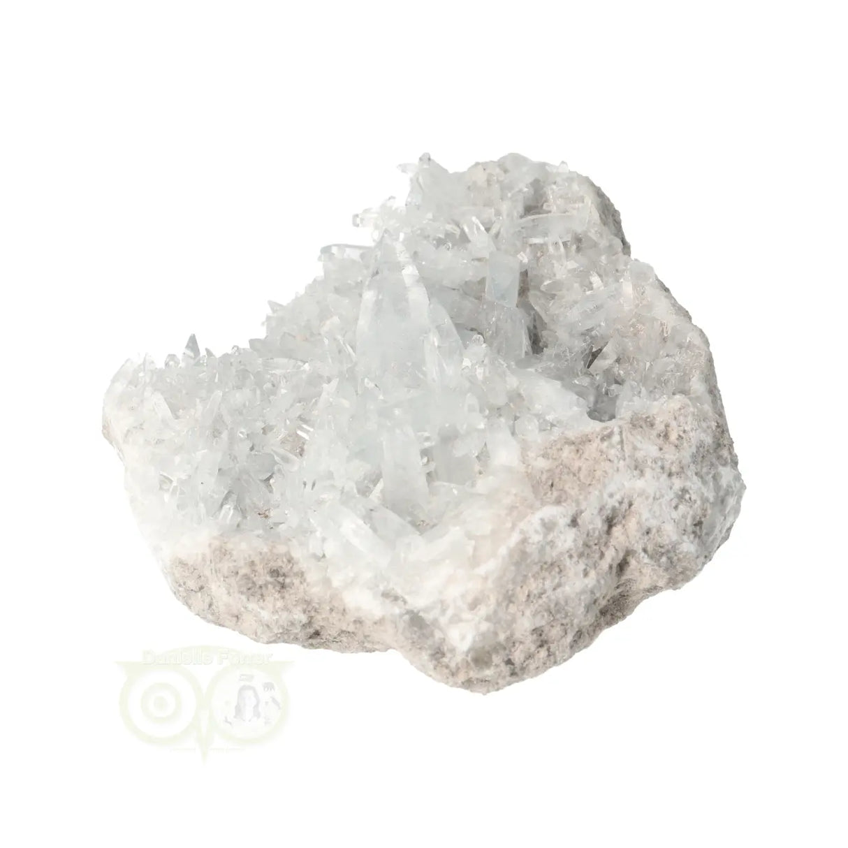 Celestien cluster Nr 82