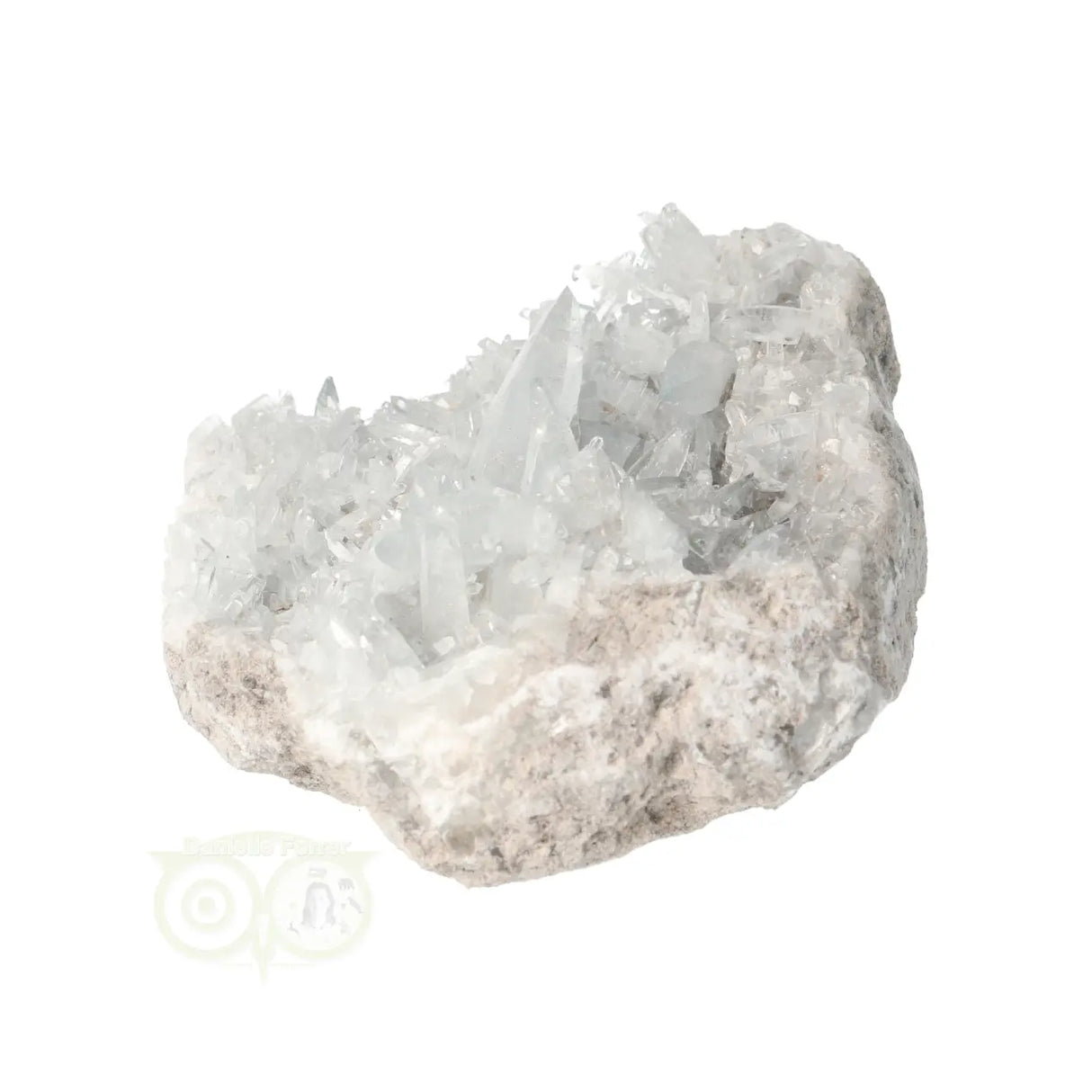 Celestien cluster Nr 82