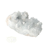 Celestien cluster Nr 83