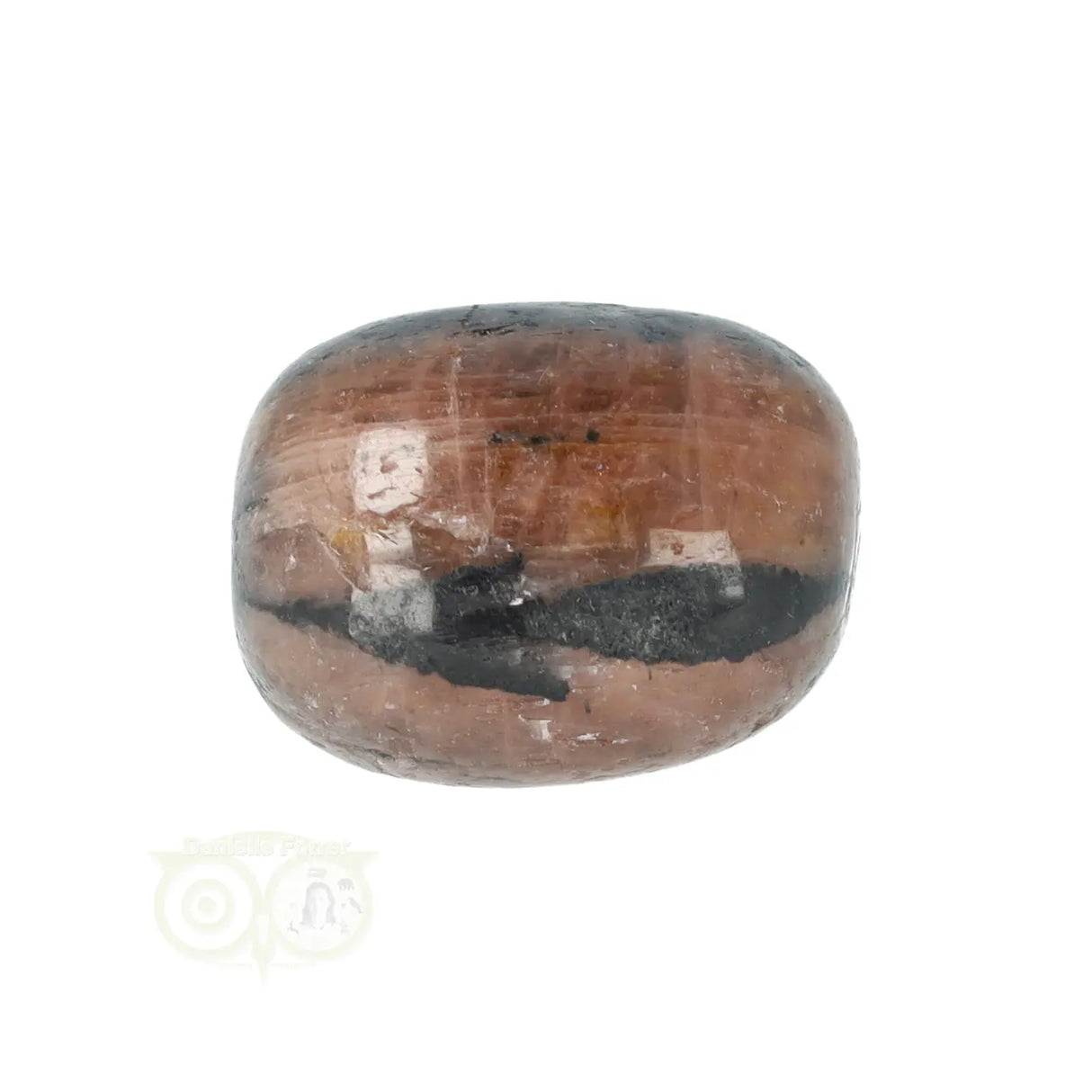 Chiastoliet ( Kruissteen ) trommelsteen Nr 22