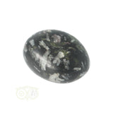 Chrysanthemum geronde trommelsteen nr 12