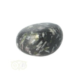 Chrysanthemum geronde trommelsteen nr 12