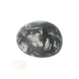 Chrysanthemum geronde trommelsteen nr 12