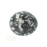 Chrysanthemum geronde trommelsteen nr 14