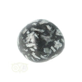 Chrysanthemum geronde trommelsteen nr 14