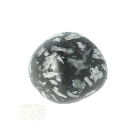 Chrysanthemum trommelsteen compact en glad gepolijst