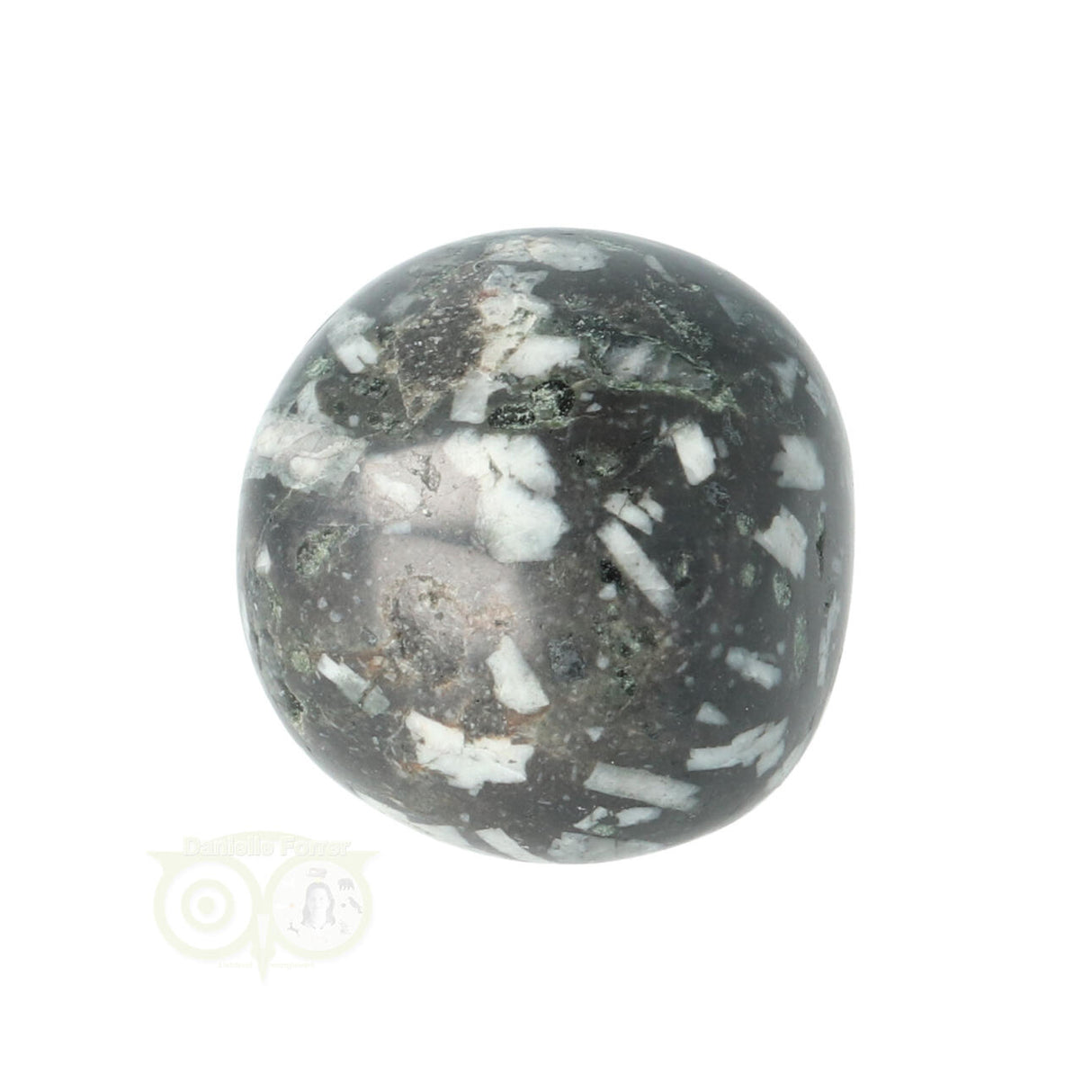 Chrysanthemum geronde trommelsteen nr 14