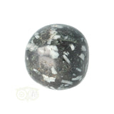 Chrysanthemum geronde trommelsteen nr 14