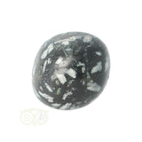 Chrysanthemum geronde trommelsteen nr 14