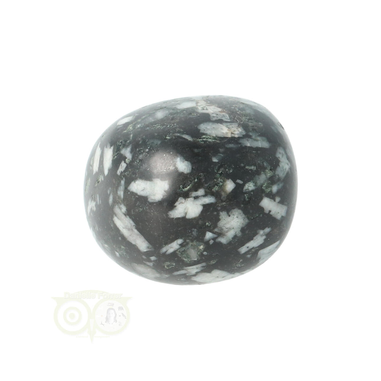 Chrysanthemum geronde trommelsteen nr 14