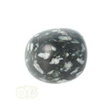 Chrysanthemum geronde trommelsteen nr 14