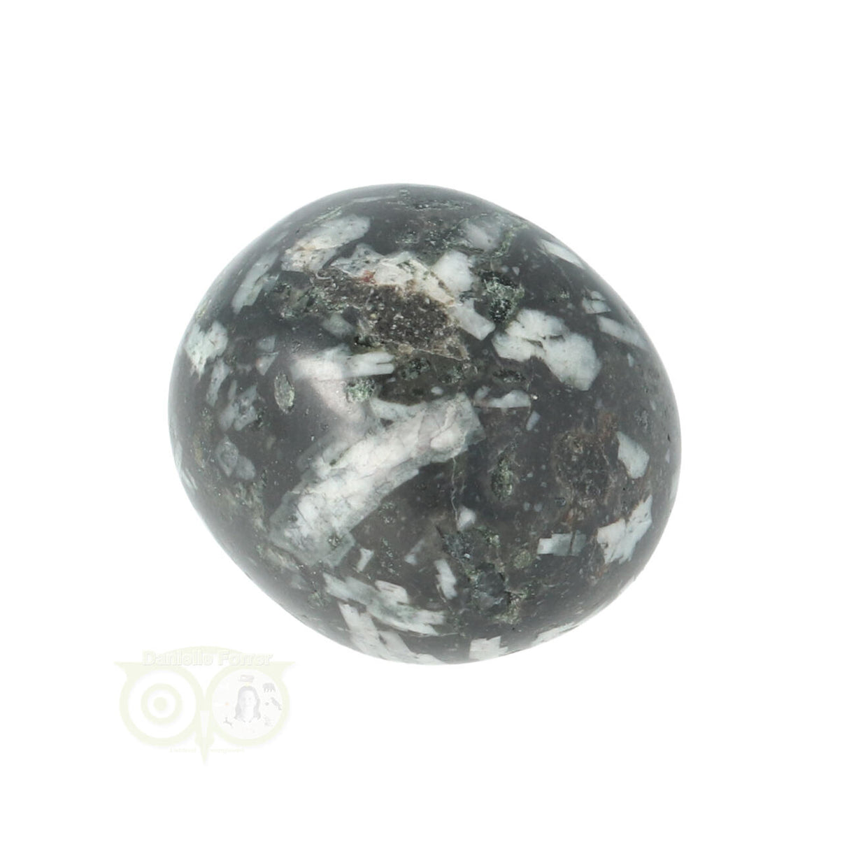 Chrysanthemum geronde trommelsteen nr 14