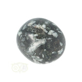 Chrysanthemum geronde trommelsteen nr 14