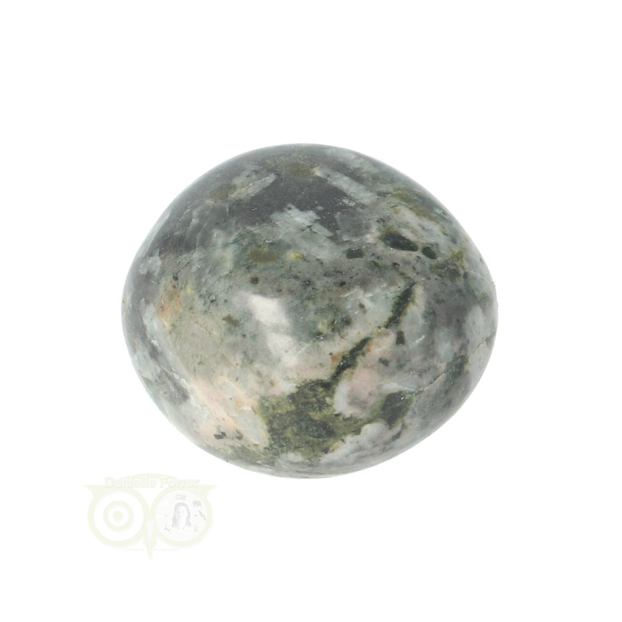 Chrysanthemum geronde trommelsteen nr 16