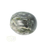 Chrysanthemum geronde trommelsteen nr 16