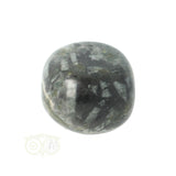 Chrysanthemum geronde trommelsteen nr 16