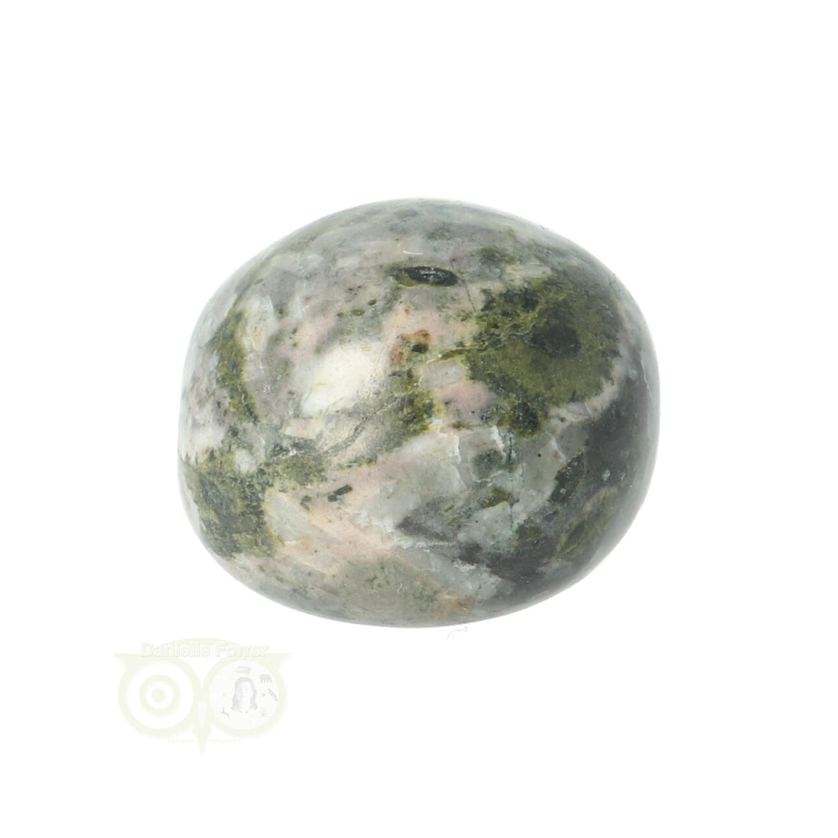 Chrysanthemum geronde trommelsteen nr 16