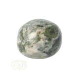 Chrysanthemum geronde trommelsteen nr 16