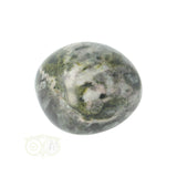 Chrysanthemum geronde trommelsteen nr 16