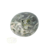 Chrysanthemum geronde trommelsteen nr 16