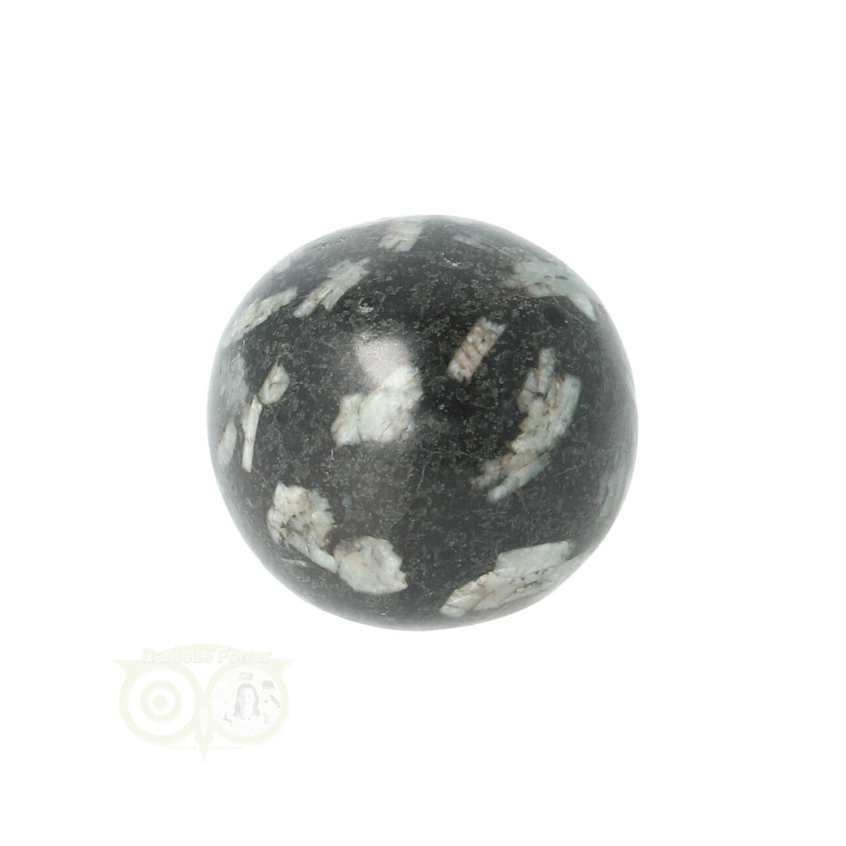 Chrysanthemum geronde trommelsteen nr 17