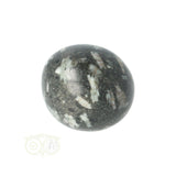 Chrysanthemum geronde trommelsteen nr 17