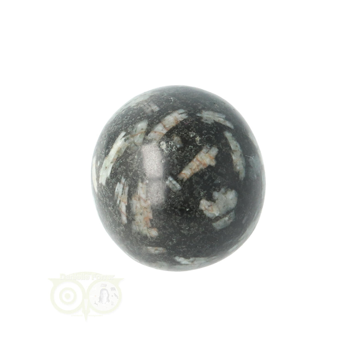 Chrysanthemum geronde trommelsteen nr 17