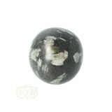 Chrysanthemum geronde trommelsteen nr 17