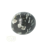 Chrysanthemum geronde trommelsteen nr 17