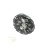 Chrysanthemum geronde trommelsteen nr 19