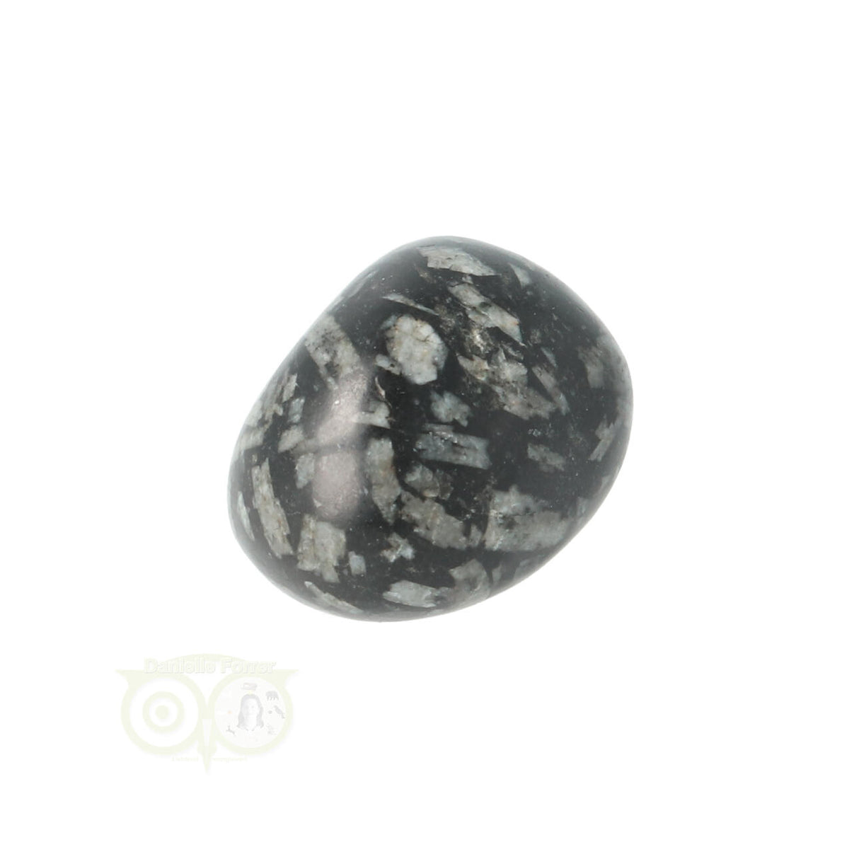 Chrysanthemum geronde trommelsteen nr 19