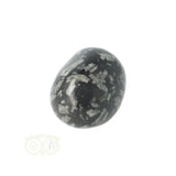 Chrysanthemum geronde trommelsteen nr 19