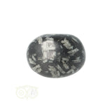 Chrysanthemum geronde trommelsteen nr 19