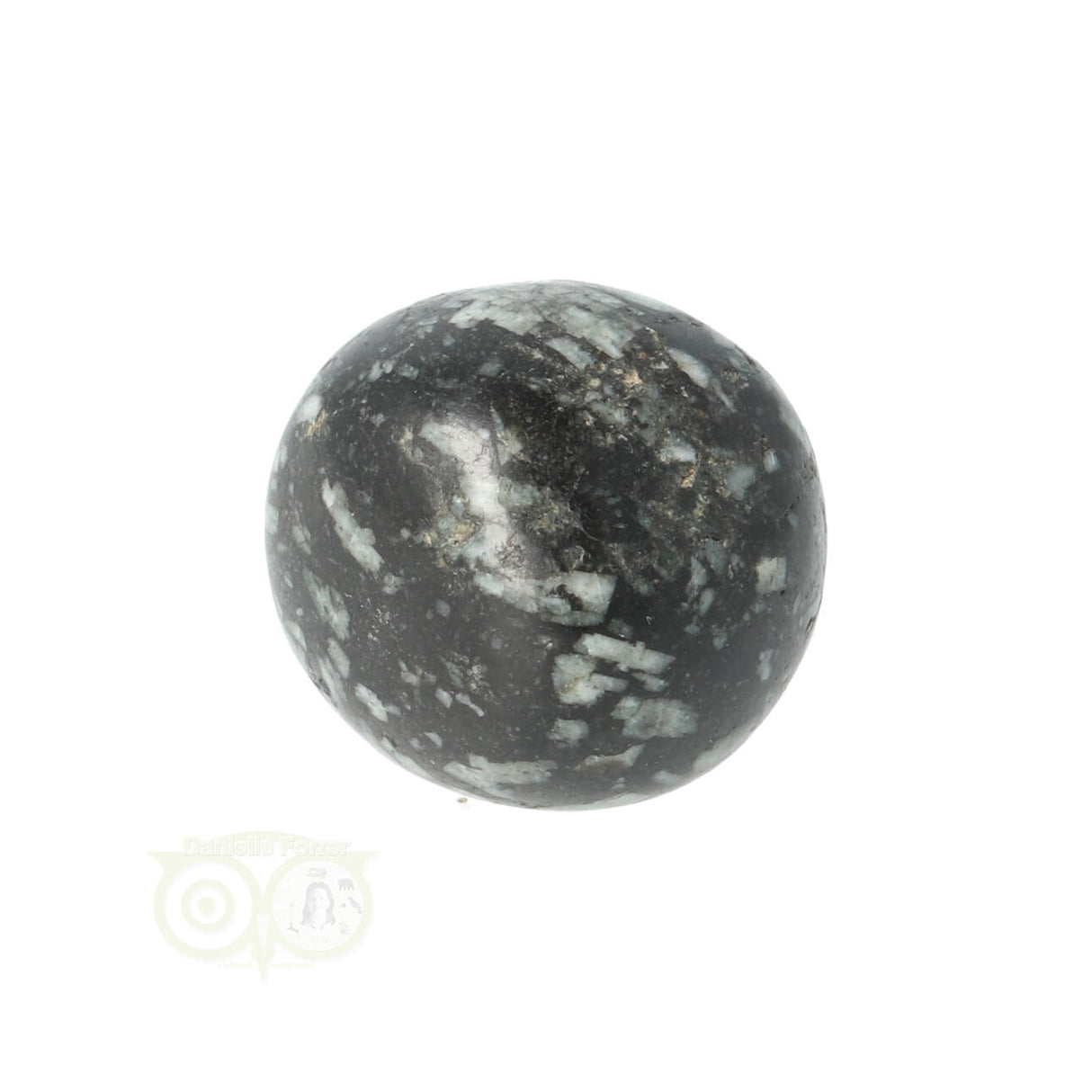 Chrysanthemum geronde trommelsteen nr 20