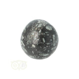 Chrysanthemum geronde trommelsteen nr 20