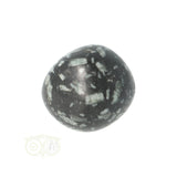 Chrysanthemum geronde trommelsteen nr 20