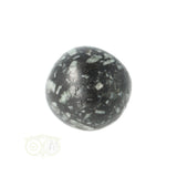 Chrysanthemum geronde trommelsteen nr 20