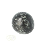 Chrysanthemum geronde trommelsteen nr 20