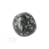 Chrysanthemum geronde trommelsteen nr 20