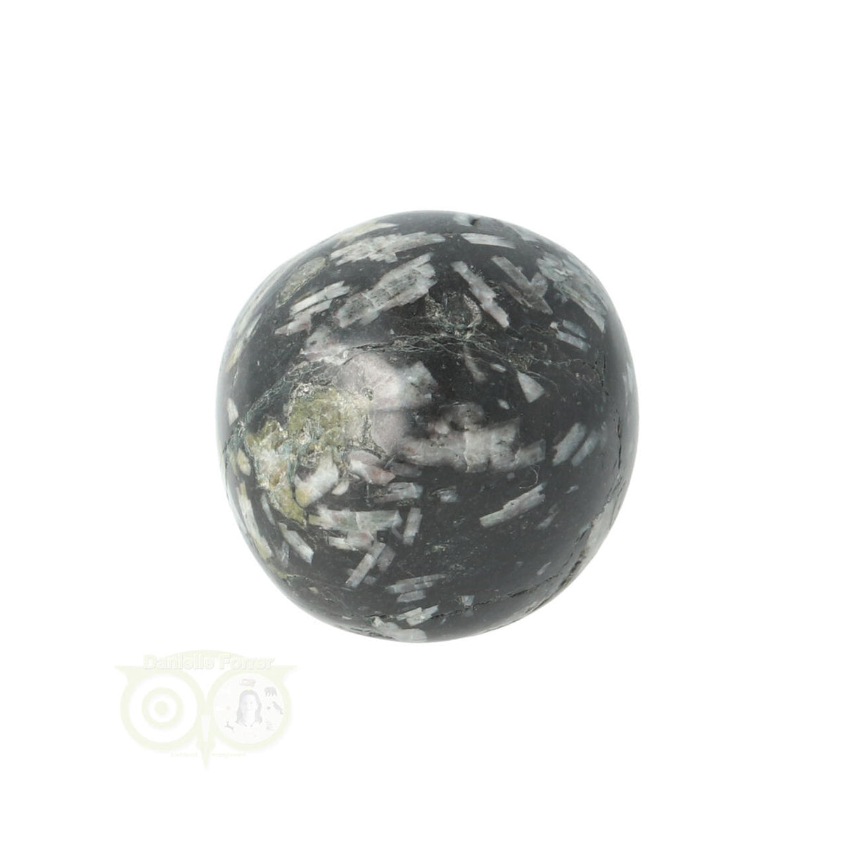 Chrysanthemum geronde trommelsteen nr 21