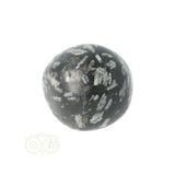 Chrysanthemum geronde trommelsteen nr 21