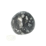 Chrysanthemum geronde trommelsteen nr 21